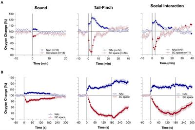 Brain oxygen responses induced by opioids: focus on heroin, fentanyl, and their adulterants